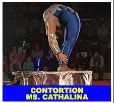 contort-cathalina