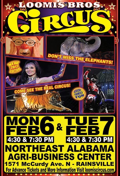 Rainsville-Poster-2017-small