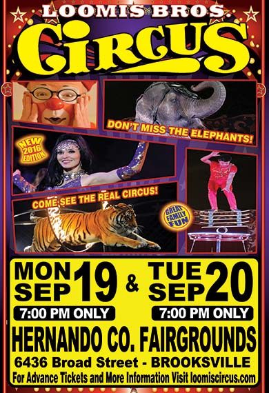 WEB_BROOKSVILLE_POSTER