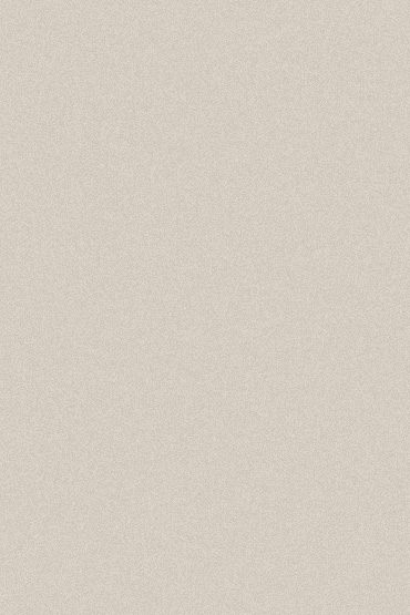 bg_370x555