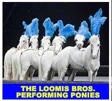 ponies