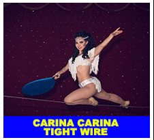 carina-wire