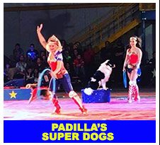 padillias-dogs