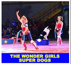 wonder-girls