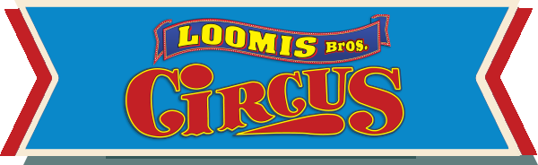 logo_with_stripe_website