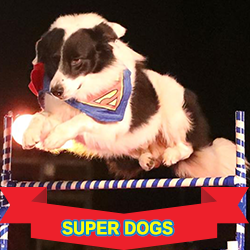 super_dogs_front