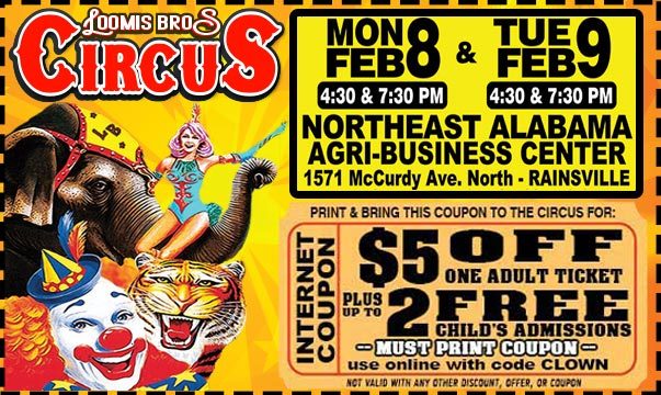 rainsville-net-coupon-2021