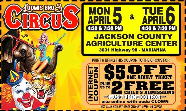 net-coupon-2021-Marianna