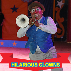 clown-horn