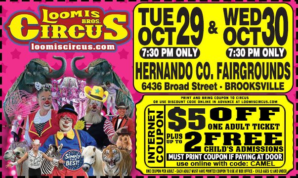 2024-WEB-COUPON-BROOKSVILLE