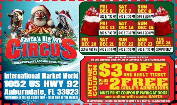 WEB-COUPON-XMAS-1